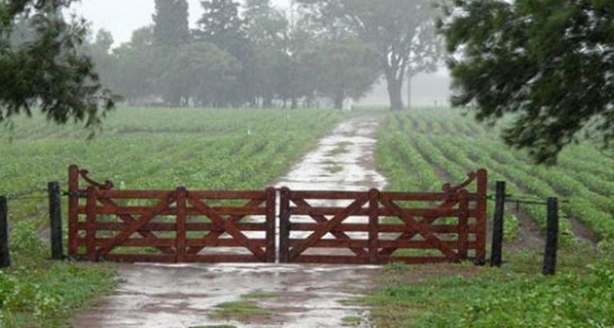 Lluvias muy parejas en toda la zona