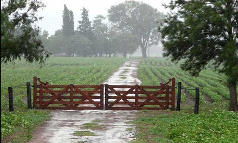 Lluvias desde 15 hasta 30 milímetros en el Partido de Bolívar