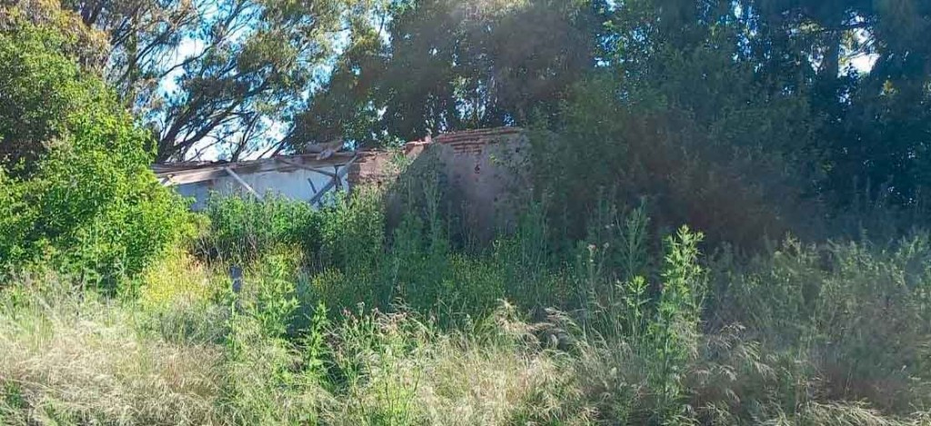 Finalmente se ordenó la Operación de Autopsia al hendersonense hallado sin vida  a la vera de la ruta 65, en lo que sería una tapera