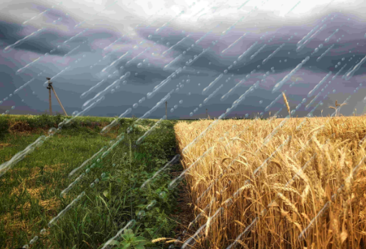 Tormentas fuertes con algunos vientos que dejaron sin energía a varias localidades cercanas  a Bolívar