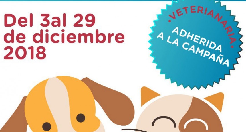  Est&aacute; en marcha la campa&ntilde;a de vacunaci&oacute;n antirr&aacute;bica en los barrios