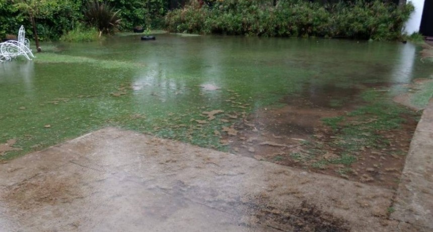 Temporal en Pehuajo: Mucha lluvia y calles inundadas en varias partes de la ciudad