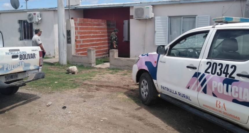 Informe del CPR Bol&iacute;var: Allanamiento por Abigeatos
