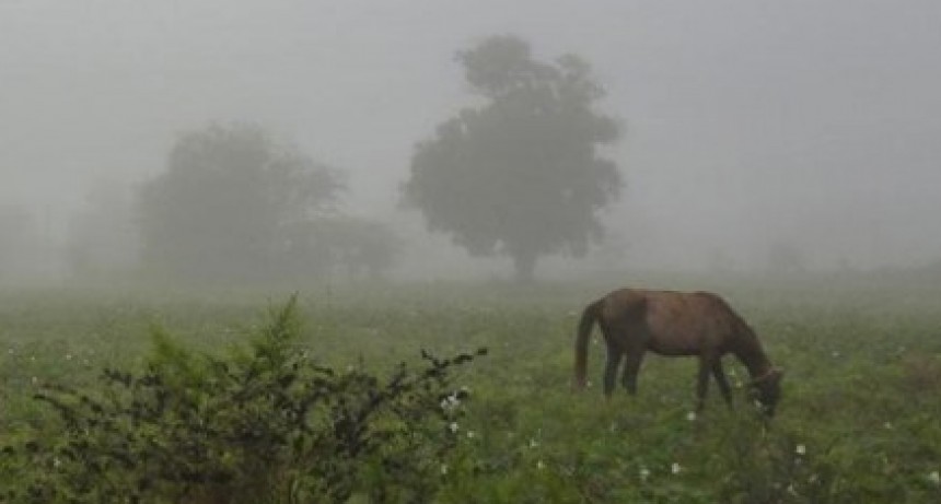 Registro de lluvias: Desde 7 hasta 32 mm registrados en Bol&iacute;var y la zona