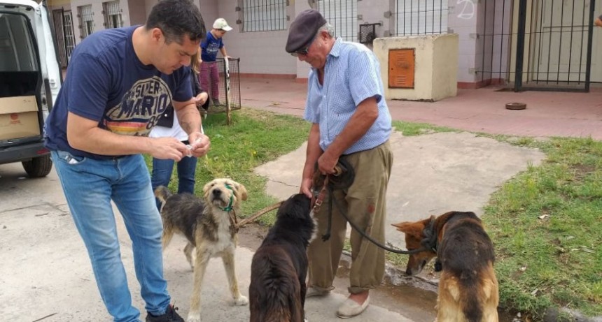 Continua la vacunaci&oacute;n antirr&aacute;bica para perros y gatos en los barrios de la ciudad