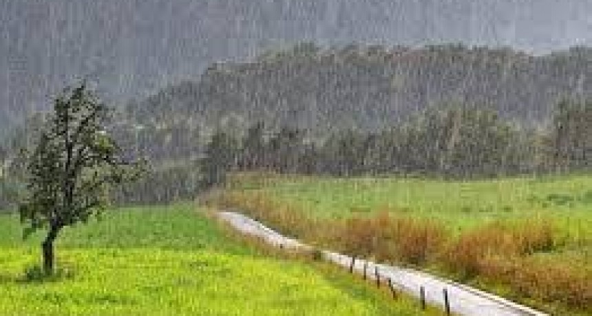 Se registraron lluvias entre los 8 y 20 mm ca&iacute;dos en Bol&iacute;var y la zona