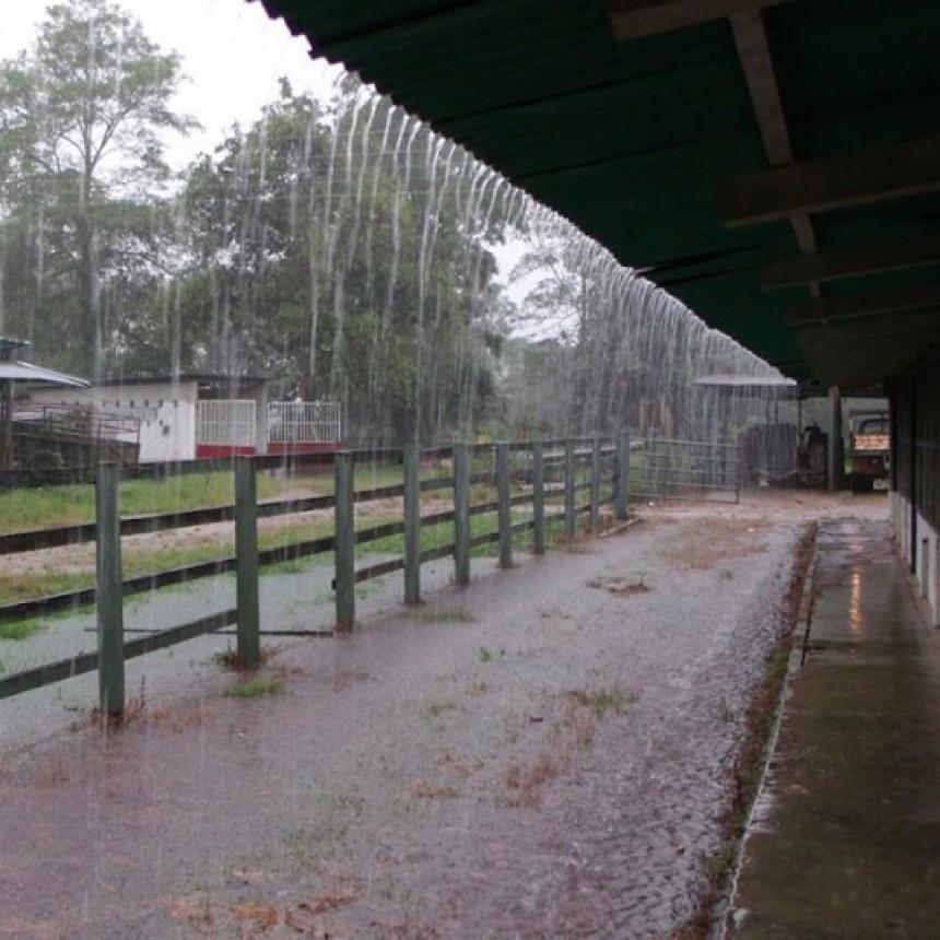 Registro de lluvias en Bol&iacute;var y la zona: Entre 2 y 25 mm