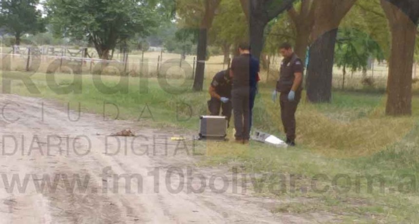 Hallaron restos &oacute;seos en el Parque Municipal Las Acollaradas
