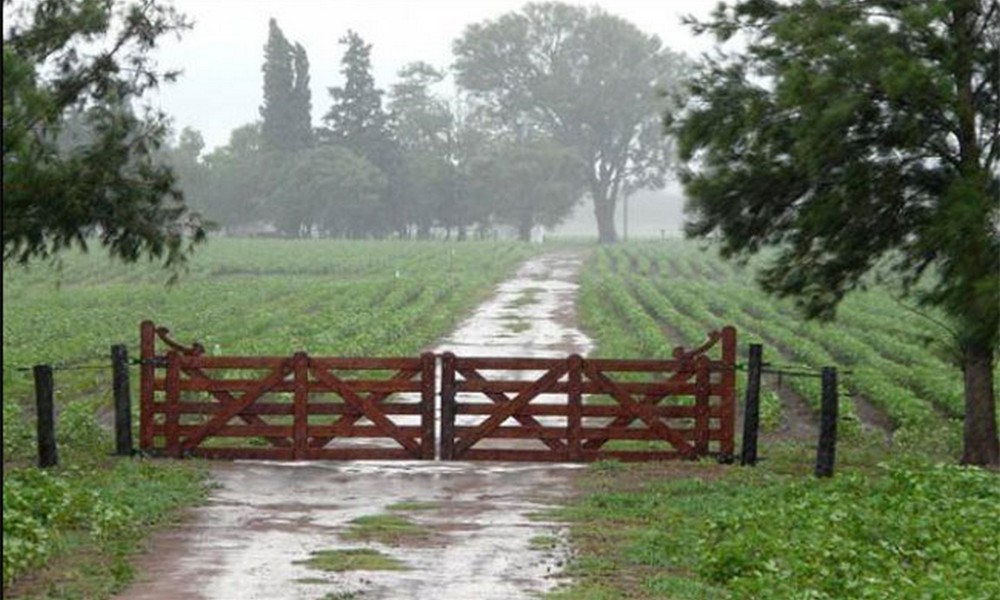 La lluvia en planta urbana fue de 21 milímetros, en cambio en la zona rural se dieron registros variables
