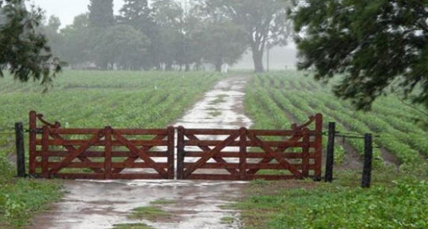 Se dieron lluvias que van desde los 20 hasta los 50 milímetros en el partido de Bolívar