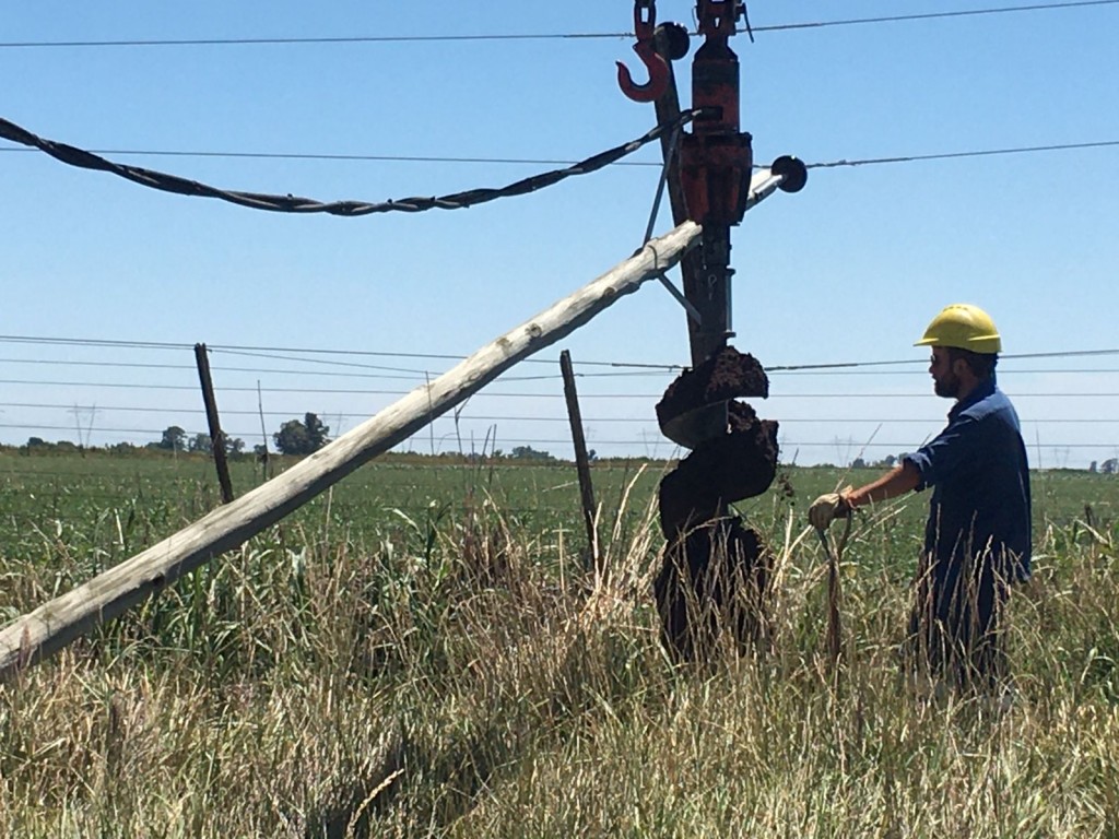 La Cooperativa Eléctrica trabaja intensamente para reestablecer el servicio tras la caída de postes en zona rural del partido de Bolívar