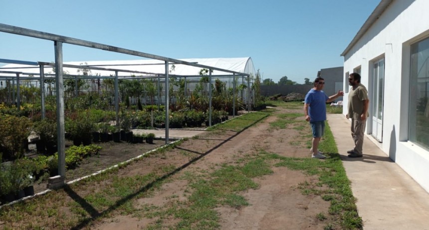 El Director de Producci&oacute;n, Javier Fern&aacute;ndez, visit&oacute; el emprendimiento "Energ&iacute;a Verde"