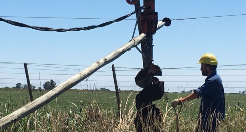 La Cooperativa Eléctrica trabaja intensamente para reestablecer el servicio tras la caída de postes en zona rural del partido de Bolívar