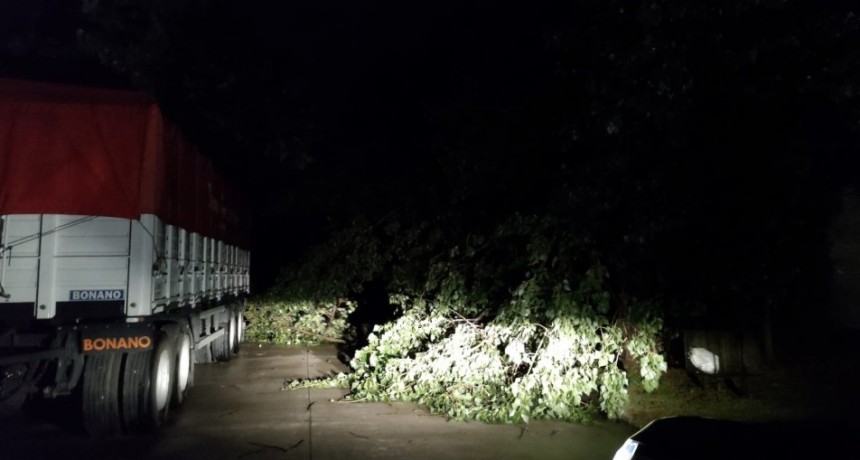 El viento generó inconvenientes en barrio Calfucurá